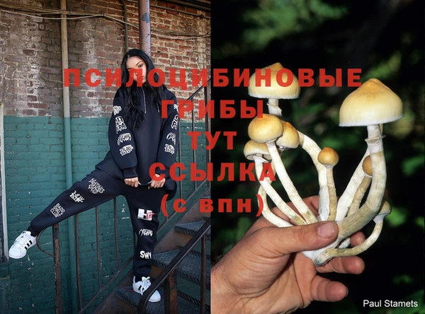 винт Снежинск