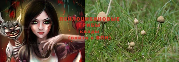 дмт Бронницы