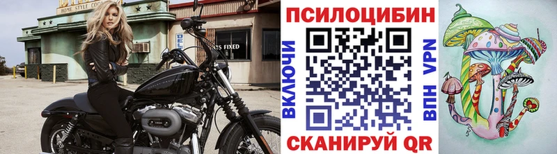 Галлюциногенные грибы ЛСД  площадка формула  Городовиковск 