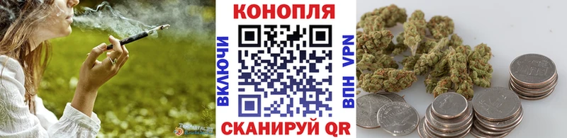 сколько стоит  Городовиковск  Конопля гибрид 